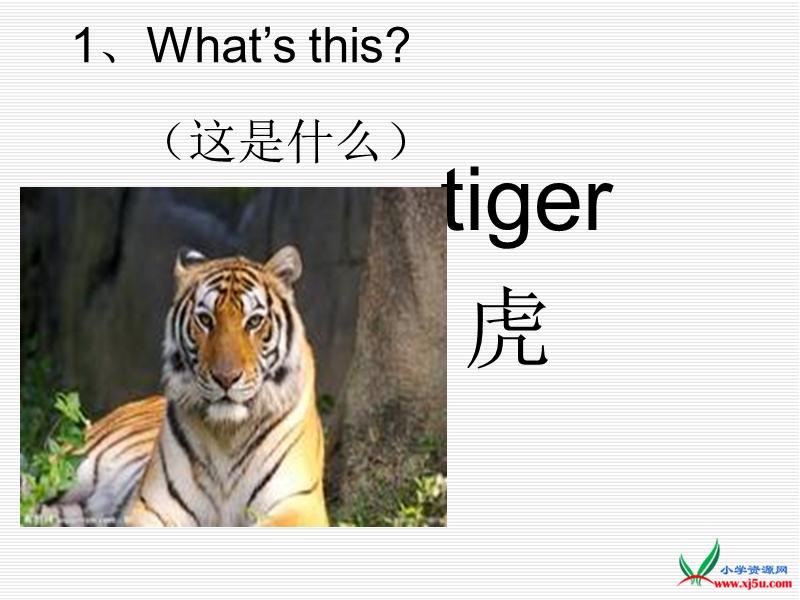 2016春冀教版英语三下《lesson 8 tigers and bears》ppt课件2.ppt_第3页