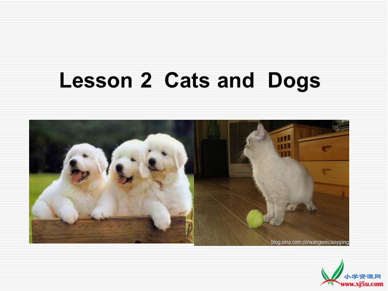 2016春冀教版英语三下《lesson 2 cats and dogs》ppt课件1.ppt_第1页