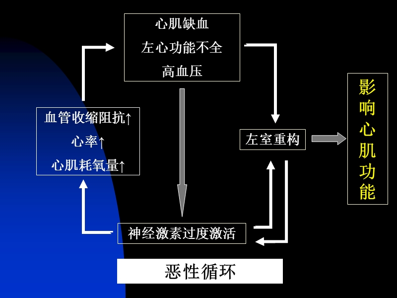 β阻滞剂与慢性收缩性心衰.ppt_第2页