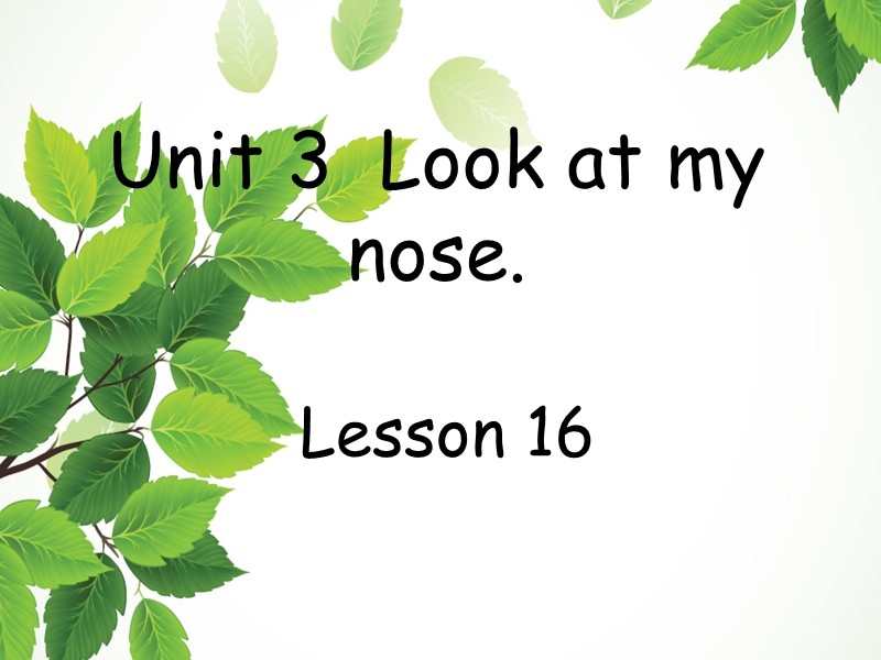 三年级上册英语课件-unit 3 look at my nose lesson 16-3人教精通.ppt_第1页