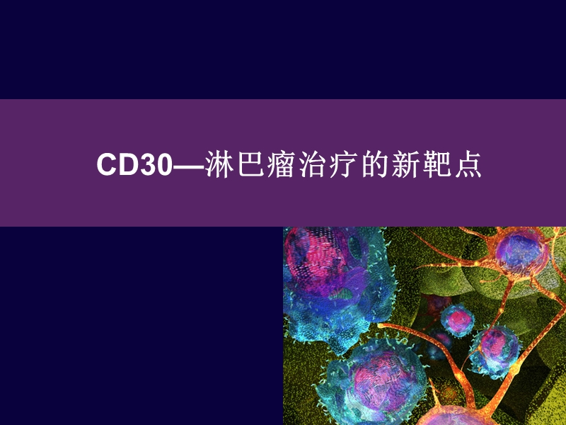 cd30_淋巴瘤治疗新靶点.ppt_第1页