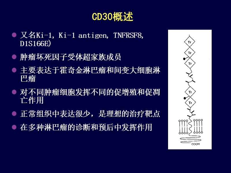 cd30_淋巴瘤治疗新靶点.ppt_第3页