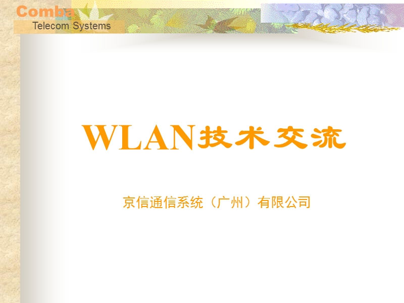 wlan基础技术交流.ppt_第1页