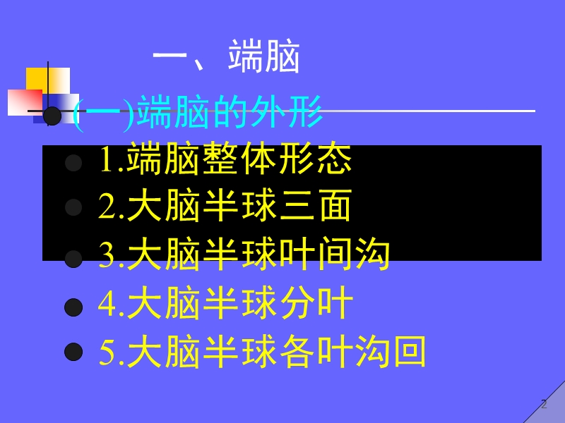 2013中枢神经解剖与病变定位.ppt_第2页