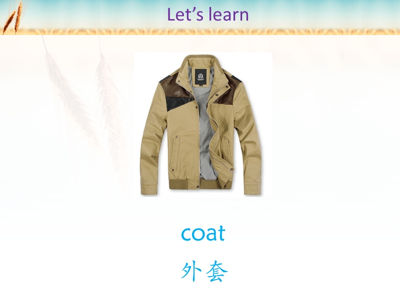 三年级下册英语课件-unit 6 is this your shirt lesson 35-1人教精通.ppt_第2页