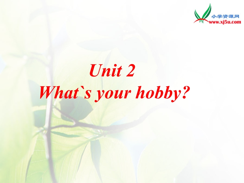 2016人教版（精通）英语六上《unit 2 what’s your hobby》ppt课件1.ppt_第1页