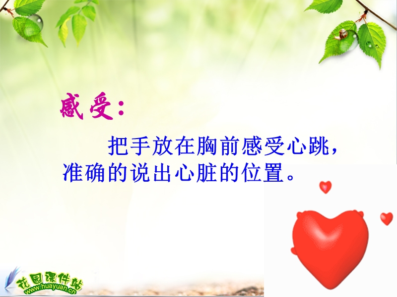 t第三节心脏.ppt_第3页