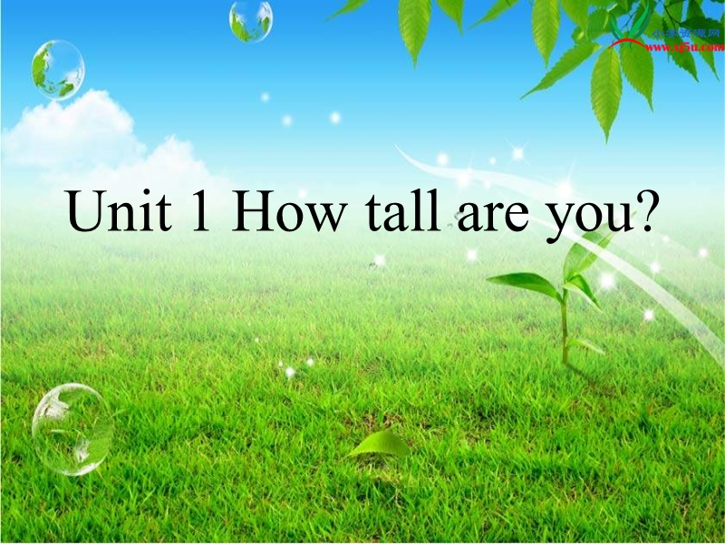 2017春人教pep版英语六年级下册unit 1《how tall are you》ppt课件1.ppt_第1页