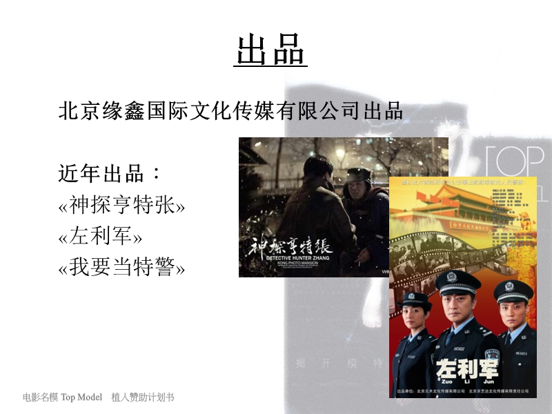 《我的美丽王国》红星赞助计划书.ppt_第2页