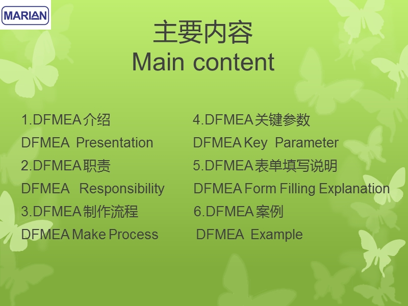 dfmea------失效模式与后果分析.pptx_第2页