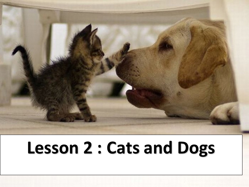 （冀教版）2016春三年级英语下册 unit 1 lesson2 cats and dogs课件.ppt_第1页