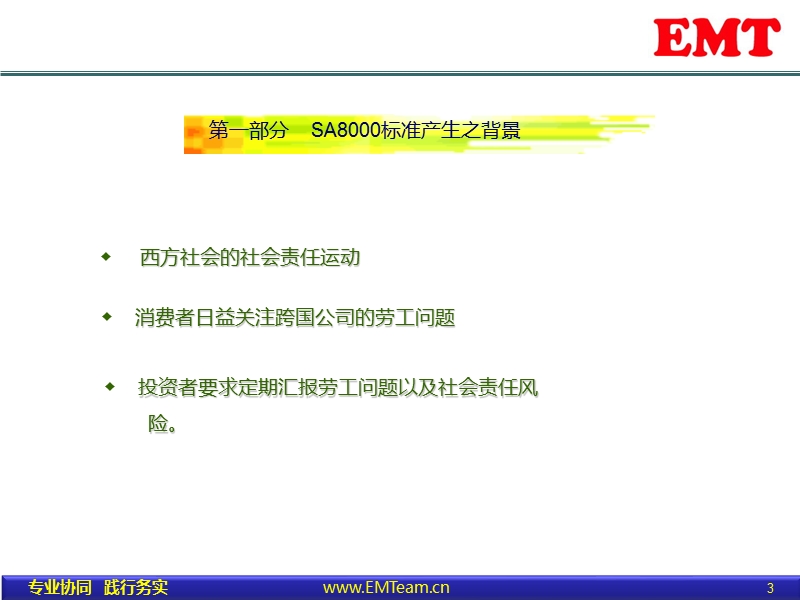 sa8000标准讲解.ppt_第3页