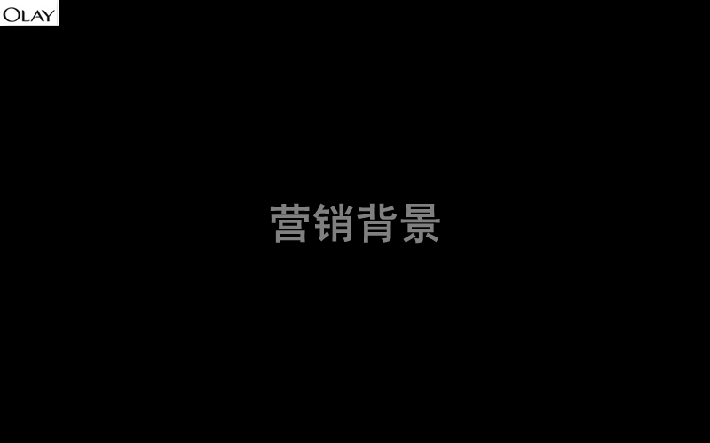 olay无线品牌营销方案.ppt_第3页