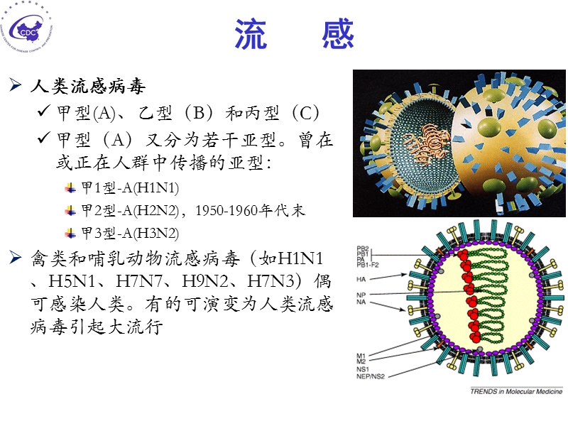 中国流感防控现状和挑战.ppt_第3页