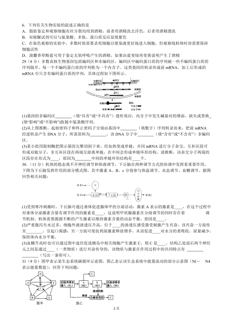 2017年河南省高中毕业年级考前预测理科综合生物试题.doc_第2页