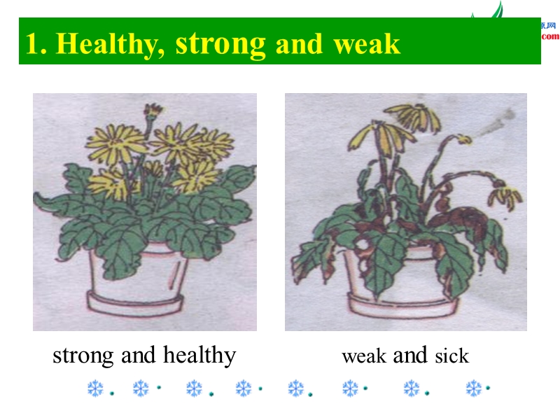 （冀教版）英语六年级下册课件unit2lesson 7 always have breakfast!.ppt_第3页