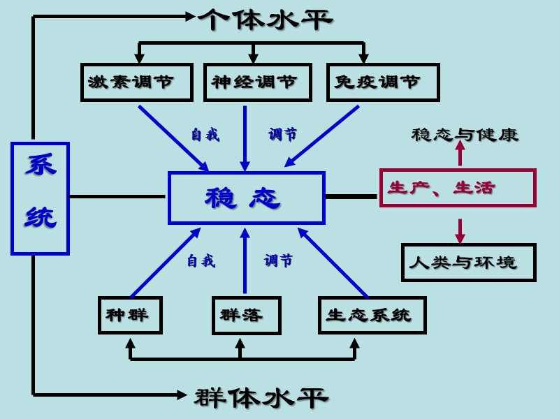 4-1 种群的特征.ppt_第1页