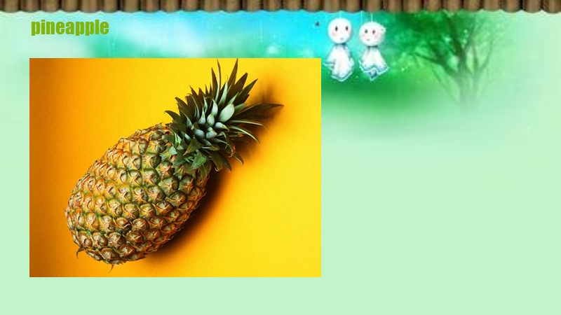 四年级上册英语课件-unit 3 it's a pineapple lesson 13-2.ppt_第2页