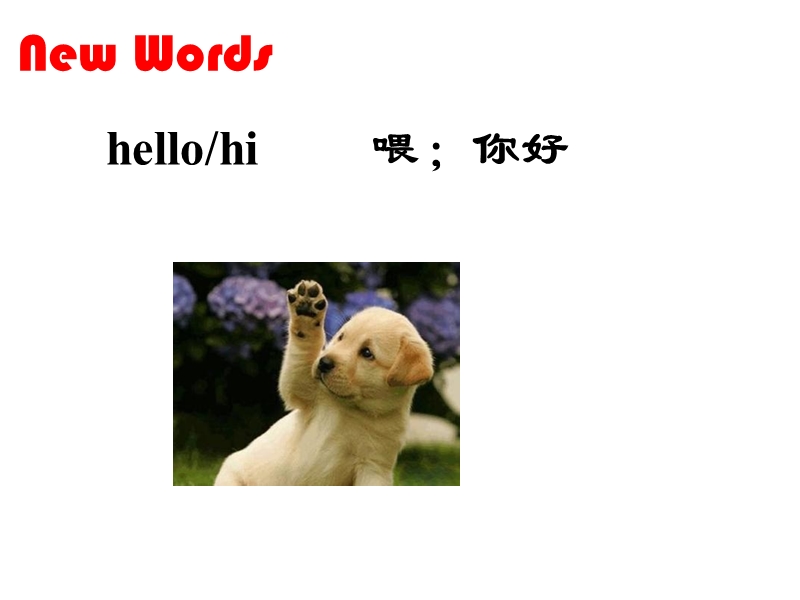 北师大版(一起) 二年级上册英语课件 unit 1 hello! 课件 (3).ppt_第2页