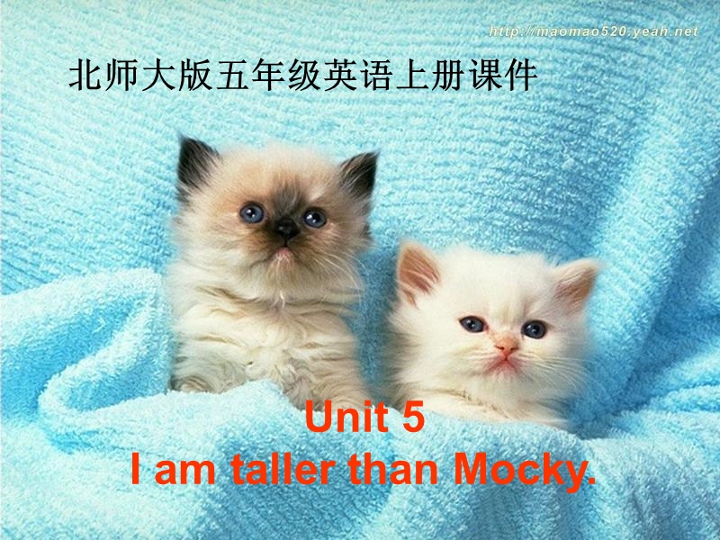 北师大版(一起)五年级上册 unit5 ann is taller than mocky.ppt_第1页