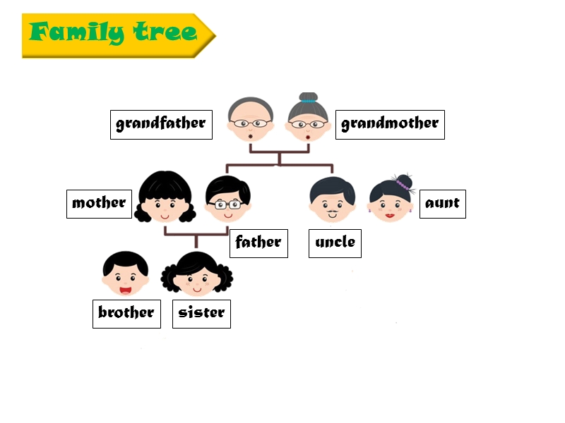 北师大版(一起) 二年级上册英语课件 unit 4 my family 课件 (1).ppt_第3页