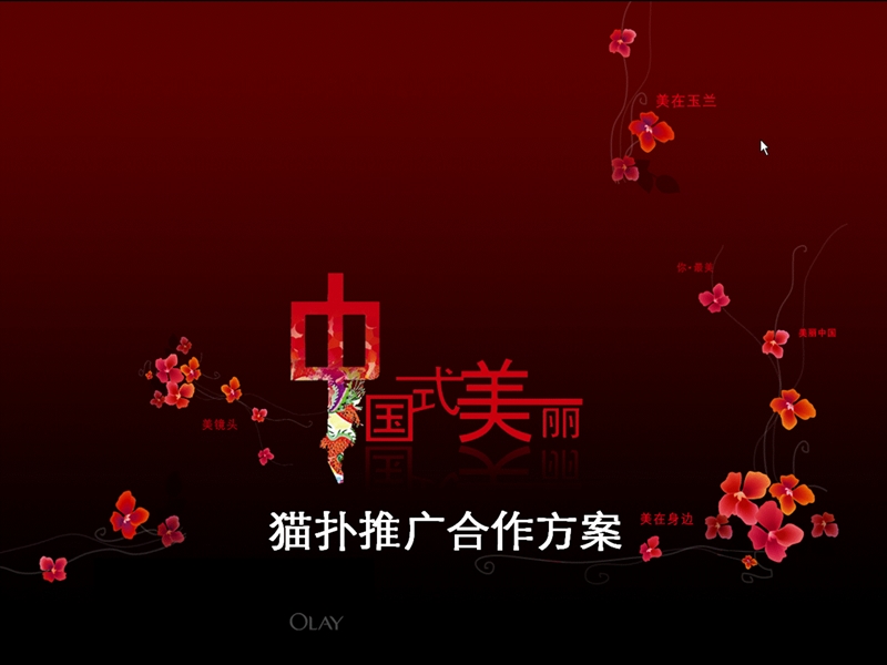 olay猫扑推广合作方案 （最终版）.ppt_第1页