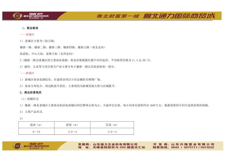 2010年山东鲁北通力国际商贸城项目营销策略报告（35页）.doc_第3页