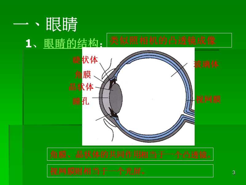 5.4眼睛和眼镜.ppt_第3页