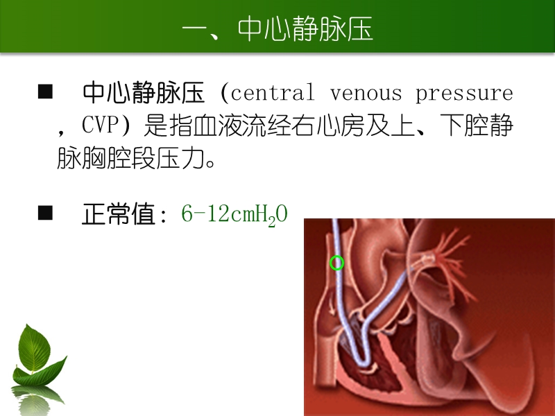 中心静脉置管的护理及中心静脉压监测.ppt_第3页