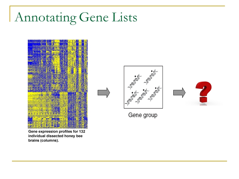 automatic annotation of gene lists from literature analysis.ppt_第2页