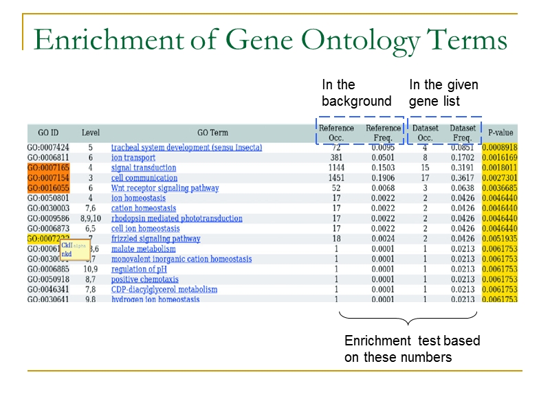 automatic annotation of gene lists from literature analysis.ppt_第3页