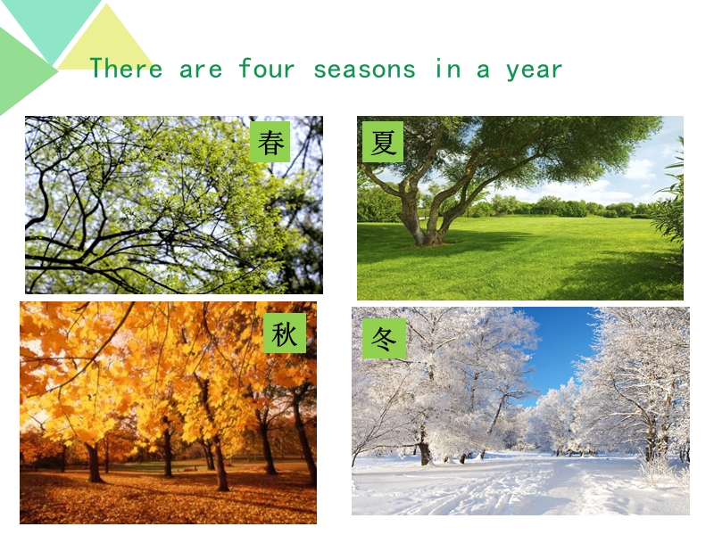 人教精通版六年级上册 there are four seasons in a year ppt课件.ppt_第2页