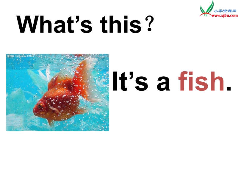 （冀教版）英语三年级下册课件unit1lesson 3 fish and birds.ppt_第2页