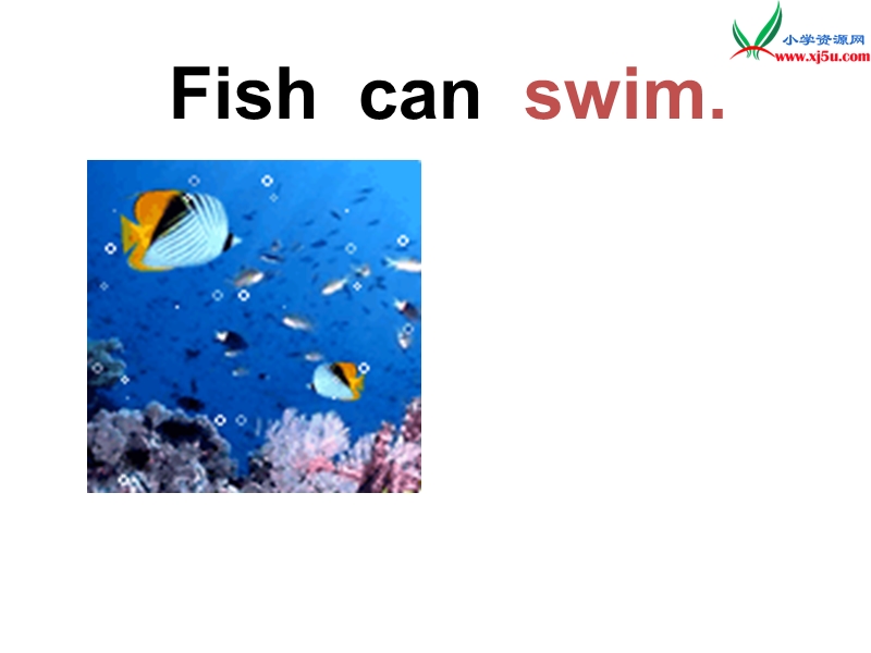 （冀教版）英语三年级下册课件unit1lesson 3 fish and birds.ppt_第3页