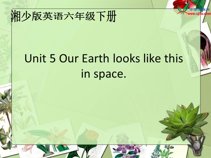 六年级下英语课件-unit5 our earth looks like this in space湘少版.ppt_第1页