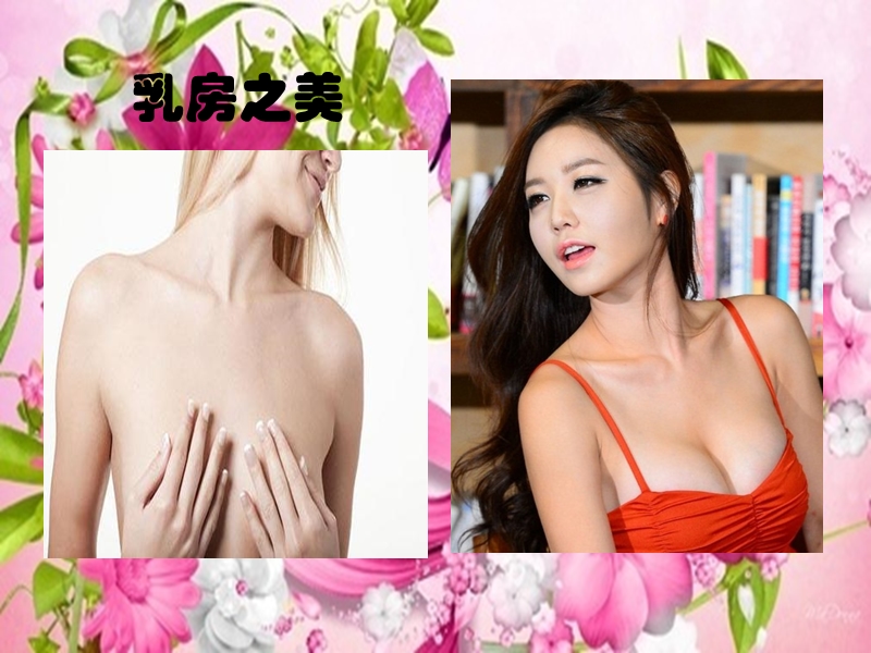 乳腺与乳腺癌.ppt_第3页