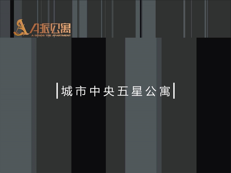 2008郑州东明路项目策略推广方案117p.ppt_第3页