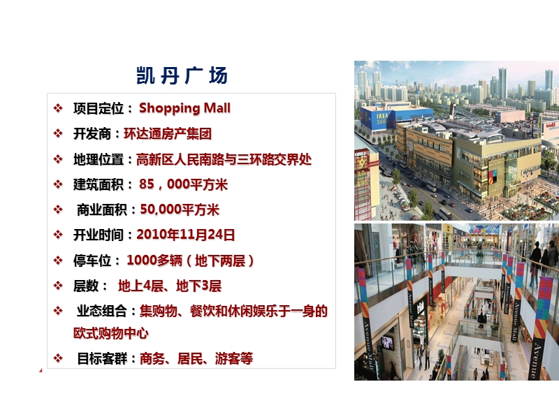 2012年8月成都·凯丹广场项目调研报告.ppt_第2页