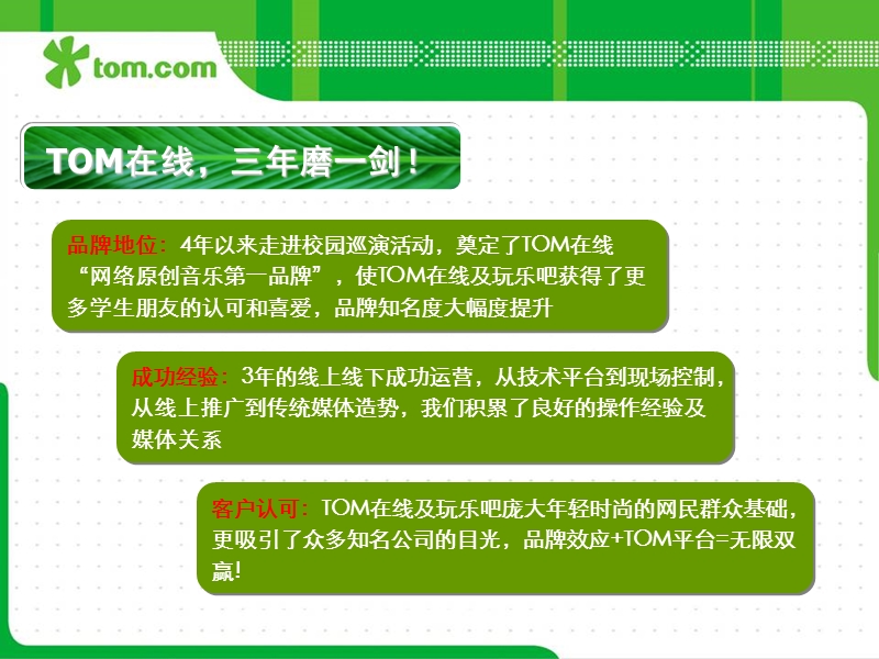 tom网站选秀活动方案.ppt_第2页