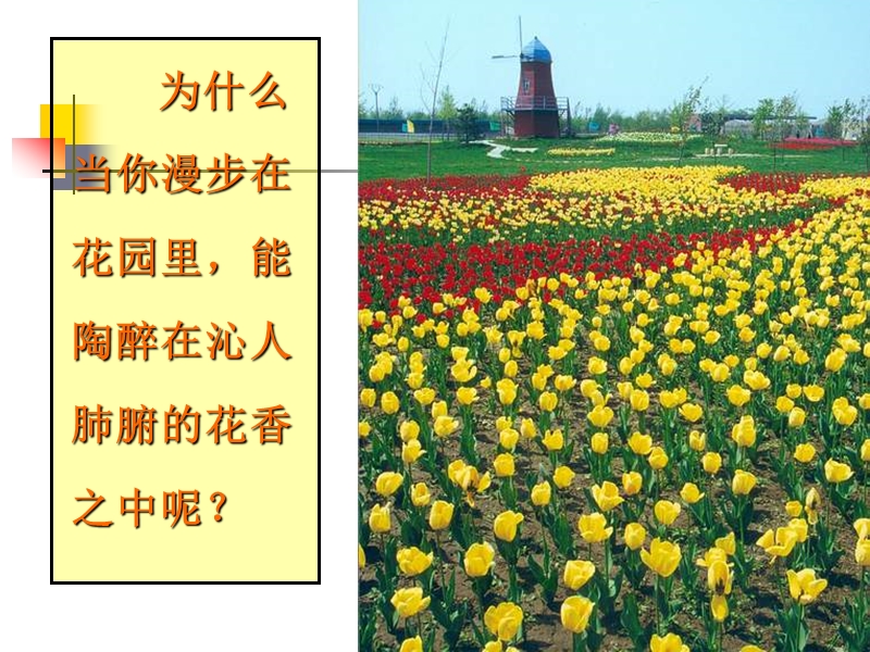 分子和原子ppt（ppt）.ppt_第3页