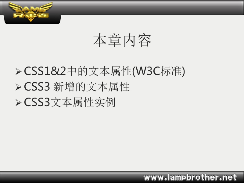兄弟连php视频教程-css3的新增文本属性.pptx_第2页
