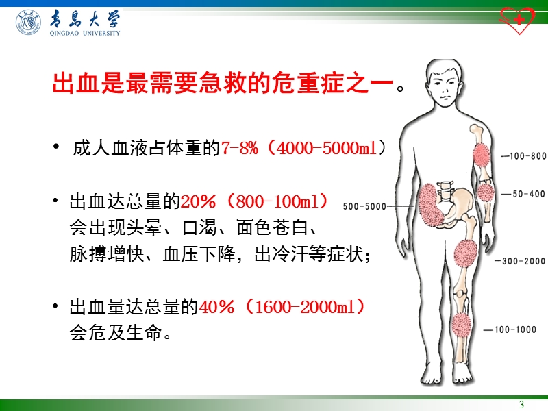 止血包扎.ppt_第3页