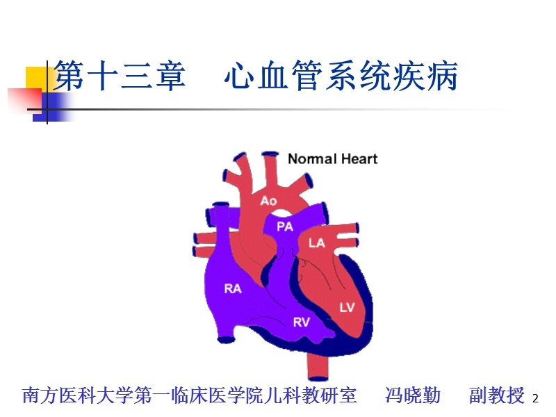 小儿循环系统疾病.ppt_第2页