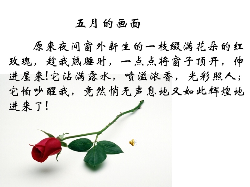 《花的勇气》.ppt_第2页