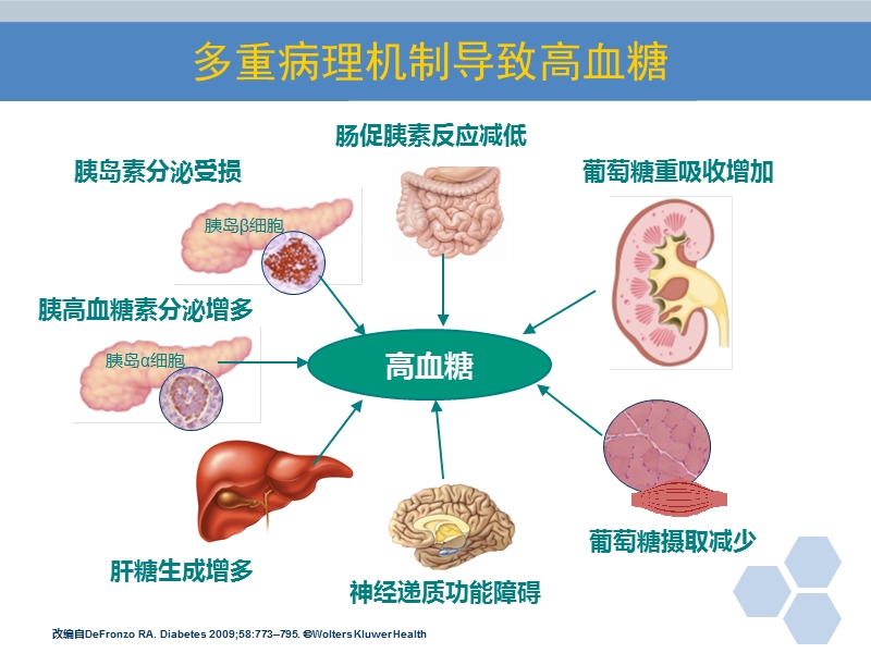 口服降糖药护理(最新).ppt.ppt_第2页