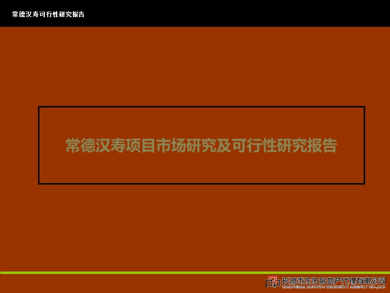 常德汉寿项目市场研究及可行性研究报告 2011-106页.ppt_第1页