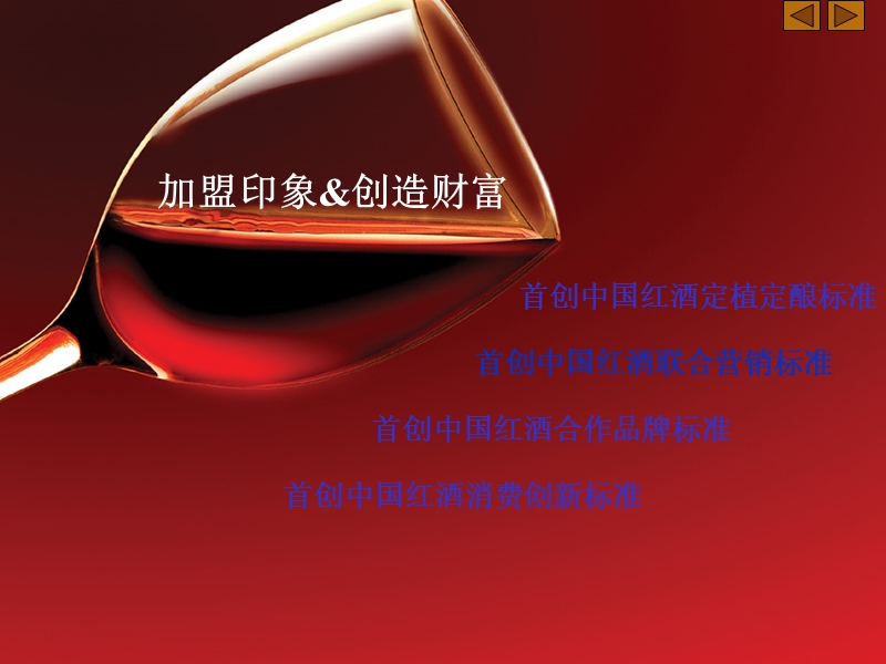 印象红酒招商资料.ppt_第2页