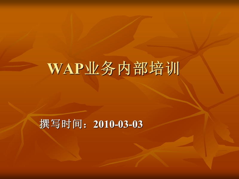 wap业务线培训.ppt_第1页