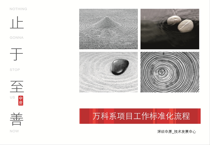 万科系项目执行工作标准化流程818.ppt_第1页