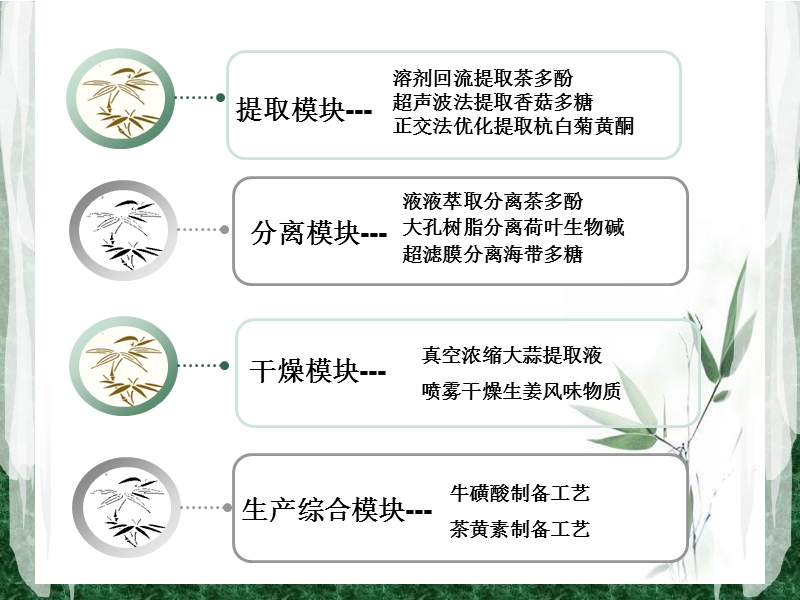 呼风唤雨学期总结.ppt_第2页